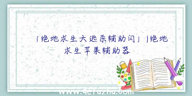 「绝地求生大逃杀辅助闪」|绝地求生苹果辅助器